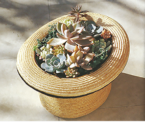 Straw Hat