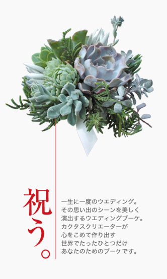 Wedding Succulents